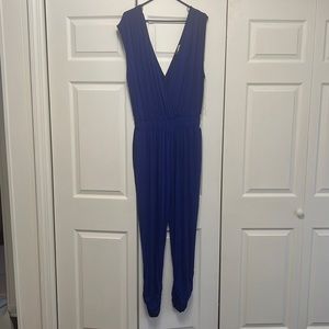 Curvy Sense Jumpsuit NWOT 4X